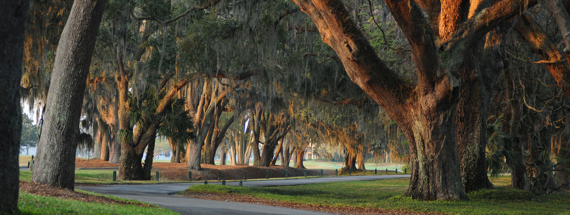 Atlanta GA Personal Injury Law Firm